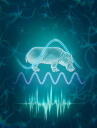 The story behind our study on rhythm-based speech processing