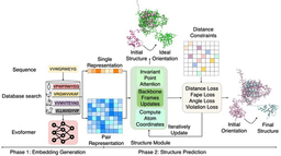 Distance-AF improves predicted protein structure models by AlphaFold2 with user-specified distance constraints
