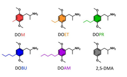 When small changes make a big difference: the pharmacology of 2,5-dimethoxyamphetamines with different 4-alkyl substitutions
