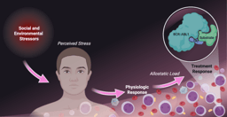 The Hidden Burden of Stress in Chronic Myeloid Leukemia