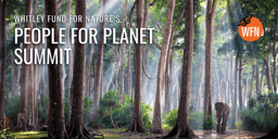 Join Whitley Fund for Nature's People for Planet Summit