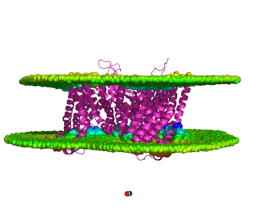 The Soluble Paradox: A Life Beneath the Surface