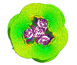 What If We Could Study Membrane Proteins Without Membranes?