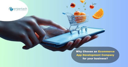 Why Choose an Ecommerce App Development Company for your business?
