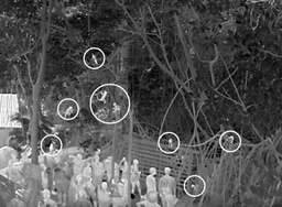 Mapping Brazil’s Human Footprint