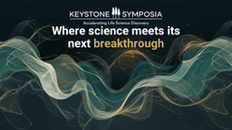 T Cells: From Basic Biology to Therapeutic Applications