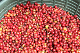 Grounding Ecological Patterns in Farmer Perspectives