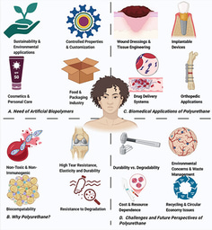 Recent Advances in Polyurethane Polymer for Biomedical Applications