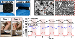 Flexible tactile sensors based on gold nanoparticles-precipitated carbon nanotubes with low contact resistance and high sensitivity
