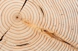 What is success in academia? Not just time served