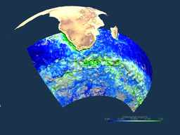 The Southern Agulhas Leakage: a source of iron for the Southern Ocean