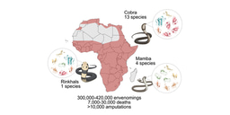 Reimagining antivenoms: from horse serum to biotechnology
