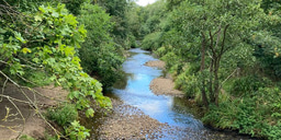 Uncovering the hidden microbial life of river biofilms