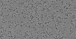 Catching RNA in the Act of Folding