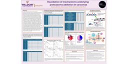 Elucidation of mechanisms underlying proteasome addiction in sarcomas