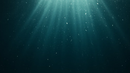 Tiny fossil titans of the seafloor