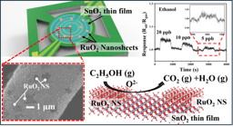 Ultra-sensitive ethanol detection using a chemiresistive SnO2 thin-film gas sensor functionalized with RuO2 nanosheets