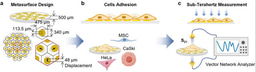 Unlocking "Invisible Modes": How Metamaterials Help Catch the Dielectric Fingerprints of Cancer Cells