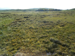 Unearthing the Viral Secrets of a Changing Landscape