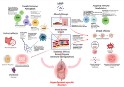 The Invisible Threat: Why Micronanoplastics are a Systemic Immune Problem Across All Organ Systems