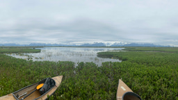From Pandemic Pivots to Pond Predictions:  Forecasting the Future of Alaska’s Coastal Wetlands