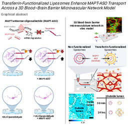 Transferrin-Functionalized Liposomes Enhance MAPT-ASO Transport Across a 3D Blood–Brain Barrier Microvascular Network Model.