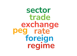 Foreign Sector & Foreign Exchange Regime Nexus