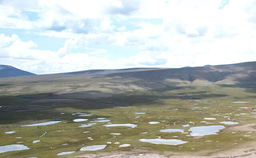 Chemoautotrophic carbon fixation: an overlooked carbon process in thermokarst lakes