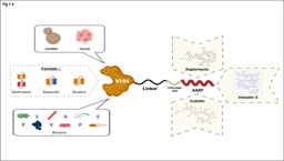A rapid nanobody based approach for developing antimicrobials against drug- resistant bacteria and yeasts