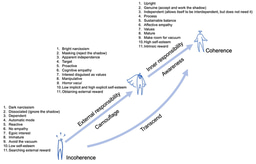 The "Stela Effect" of bright and dark narcissism on educational innovation in higher education: exploratory psychometric validation