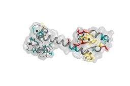 Changing scientific perspective from cardiac arrhythmia to schizophrenia