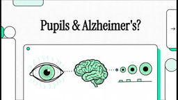 What Your Eyes Reveal About Brain Aging and Alzheimer’s Risk
