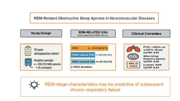 REM-related obstructive sleep apnoea in neuromuscular diseases: A 10-year retrospective cohort study