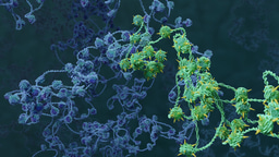 How do cells remember their past? An unexpected role for genome folding