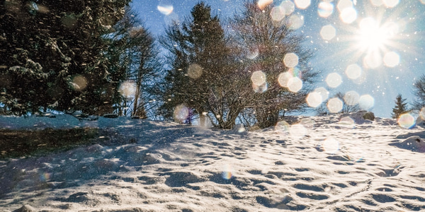 Season’s greetings from FEBS and a look back at the year