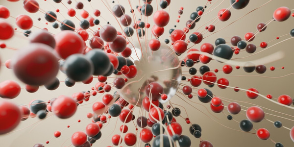 Carola Vinuesa: "I appreciate independent thinkers..."