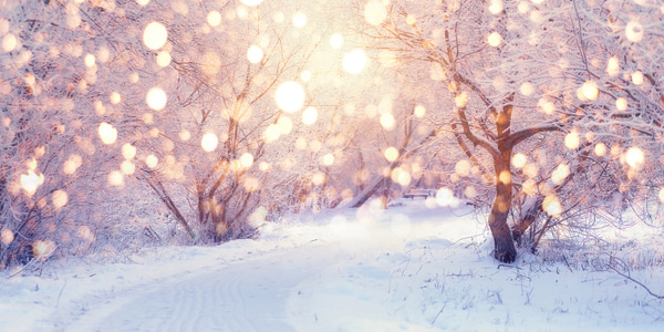 FEBS Open Bio in 2025: A Year in Review