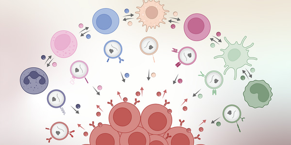 Special Issue: Biology of B-cell malignancies