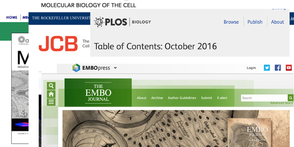 Read all about it! (a short guide to writing scientific reports and manuscripts)