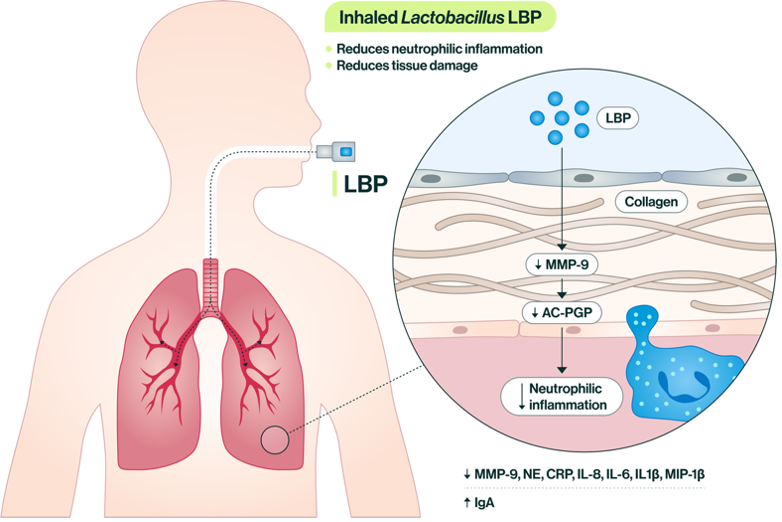 From Bedside to Bench and Back Again | Research Communities by 