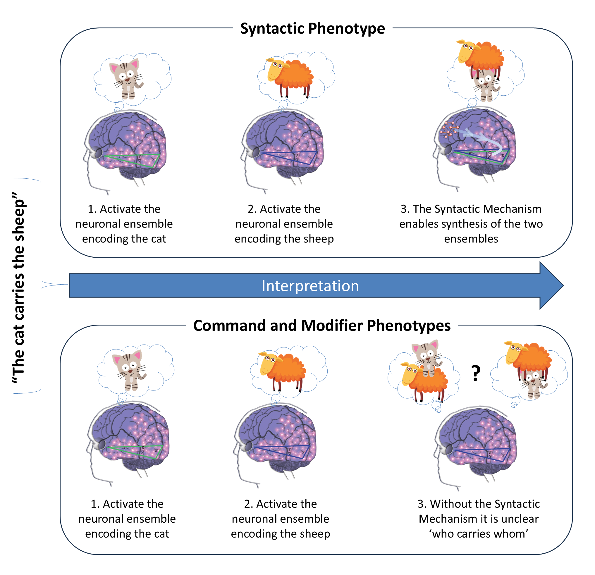 Three mechanisms of language comprehension are revealed through