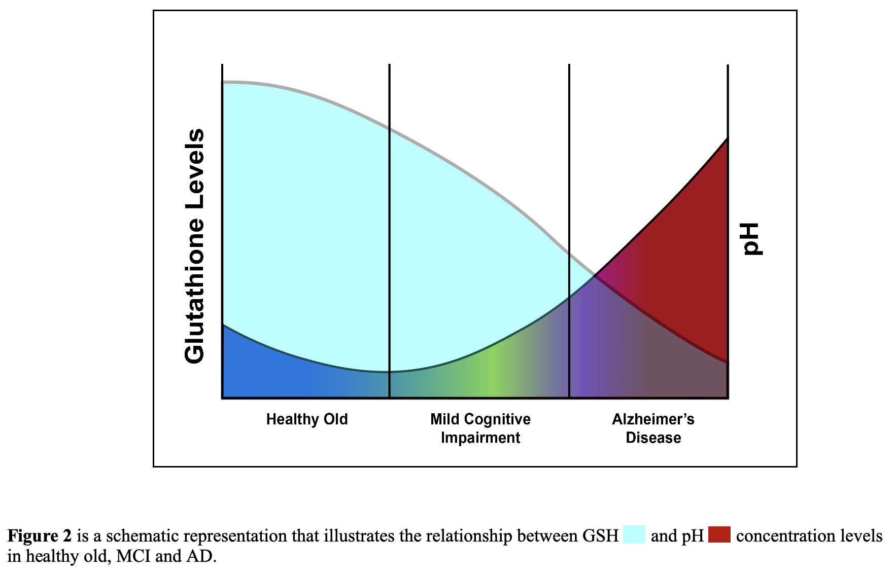 glutathione and alzheimer's Hippocampal pH rise towards alkalinity: A perfect storm for Alzheimer's  disease