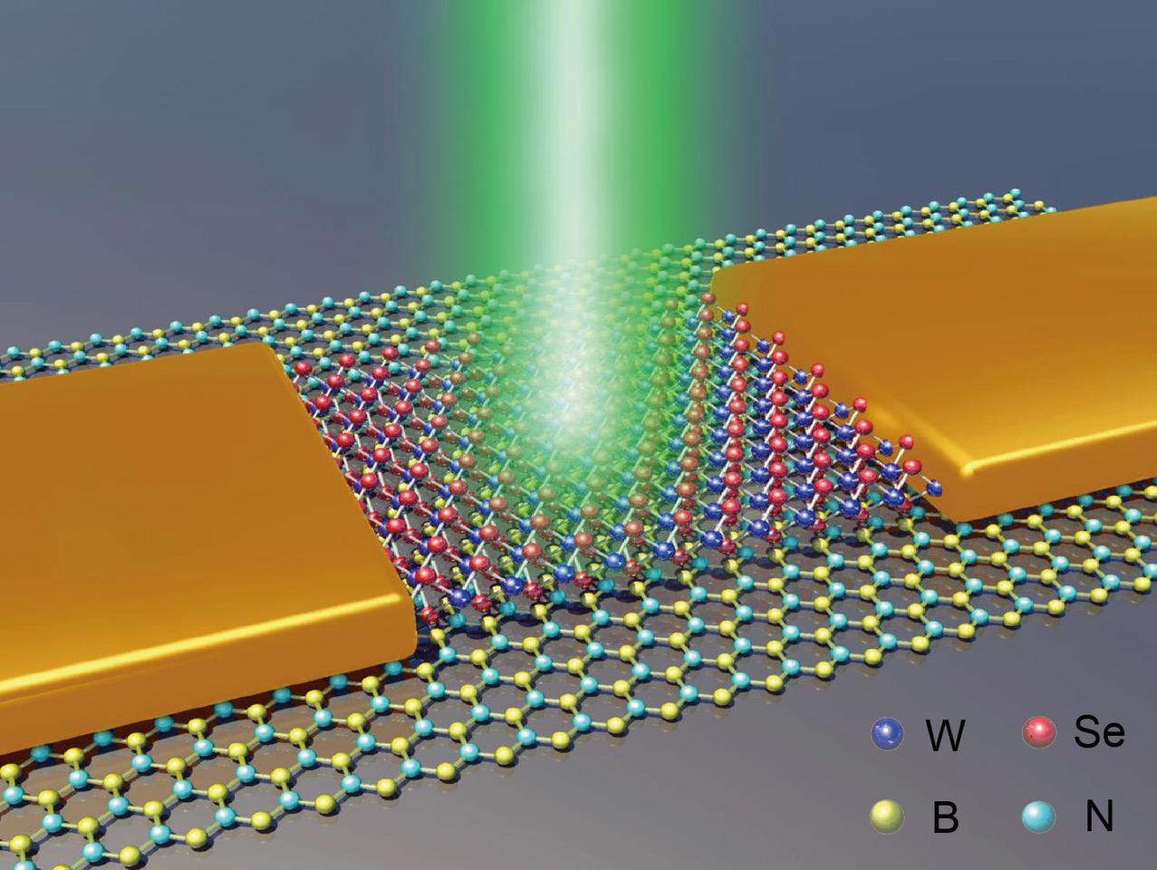 Flatchat | Two-dimensional multibit optoelectronic memory with broadband spectrum distinction