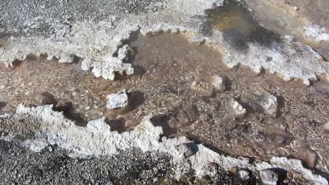 Octopus Spring, YNP