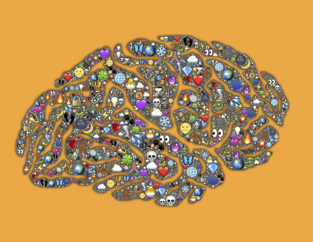 The diversity of the human brain 
