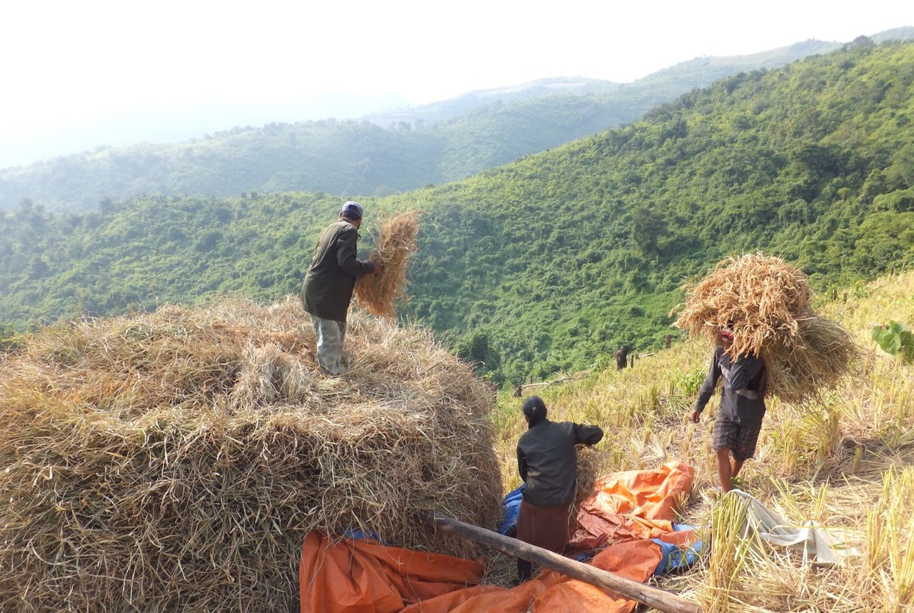 Social-ecological outcomes of agricultural intensification