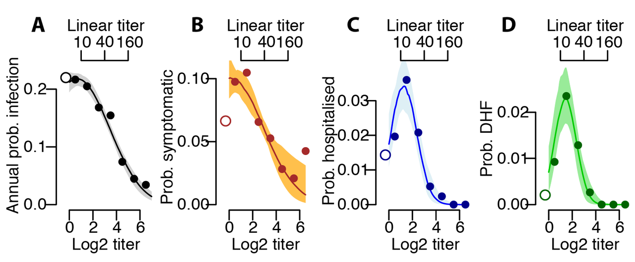 Reconstructing infection histories and antibody dynamics in parallel to quantify dengue risk using mathematical models