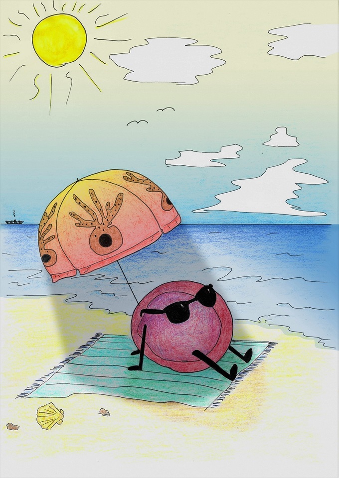 The zebrafish shows how blood stem cells found their niche in bone marrow