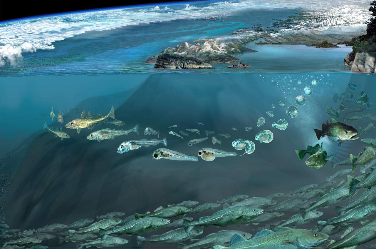 Navigating to a sustainable future