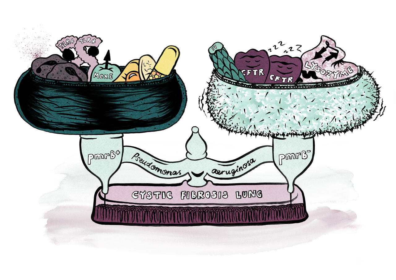 The trade-offs and complexities of diversity in chronic bacterial infections